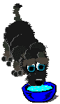dog11.gif (17675 bytes)